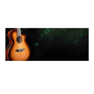 Breedlove Solo Pro Concert Nylon CE Red Cedar-African Mahogany Acoustic Guitar image 9