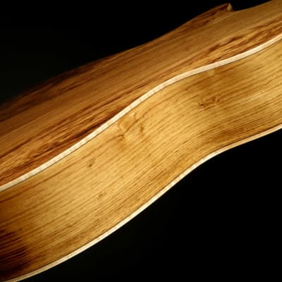 Taylor Custom GC - Sinker Redwood/Honduran Rosewood image 17