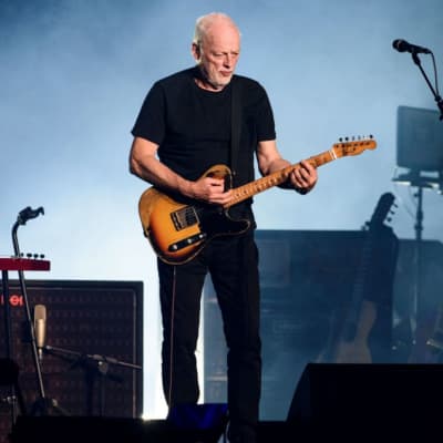 Pink Floyd The Black Strat A History of David Gilmour's Black | Reverb