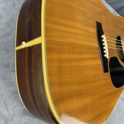 Morales M-50 Zen-On D-35 Type Solid Top MIJ Lyre Bird 1970's Morales M-50 Zen-On D-35 Type Solid Top MIJ Lyre Bird 1970's