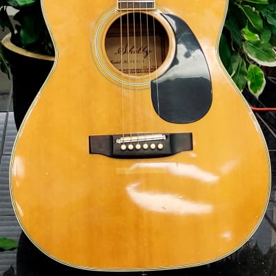 Shelby Dreadnought Acoustic Guitar - Made in Japan for sale