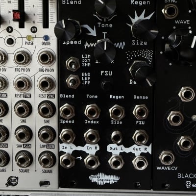 Noise Engineering Desmodus Versio | Reverb