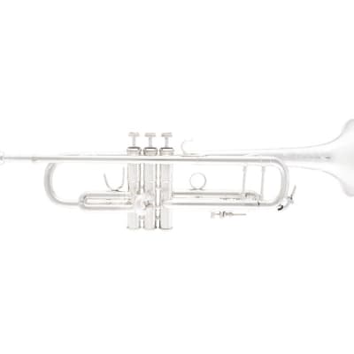 Bach Stradivarius 190S37 Professional Bb Trumpet image 1