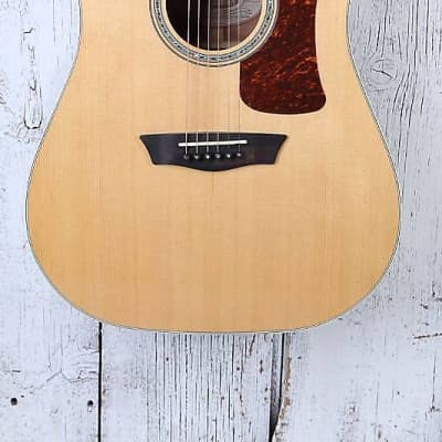 Washburn D100SWE Dreadnought Acoustic Electric Guitar with Hardshell Case for sale
