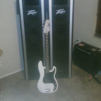 Peavey sales 412 column