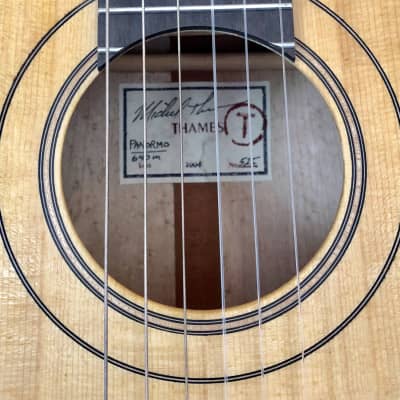 Michael Thames Panormo guitar, 1830 replica, made in 2004 image 4