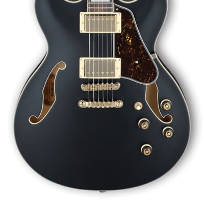 Ibanez as73g store black