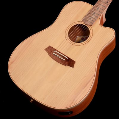 [SN 221148616] Cole Clark FL Dreadnought CCFL2EC-BB Bunya Top Blackwood Back and Sides [with special offer] [11/14] for sale