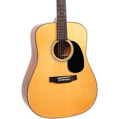 Aria Pro II PW-70 Dreadnought Professional 1970s Natural Gloss 45