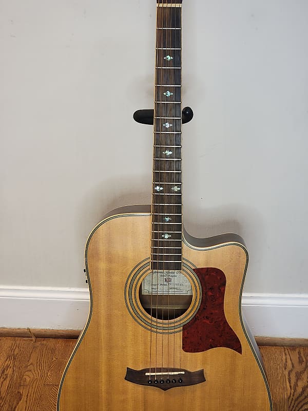 Tanglewood tw online