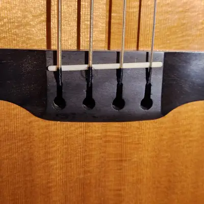 Larrivee LB-09E Acoustic Bass Natural-Original Hard Case-Good Sound! image 8