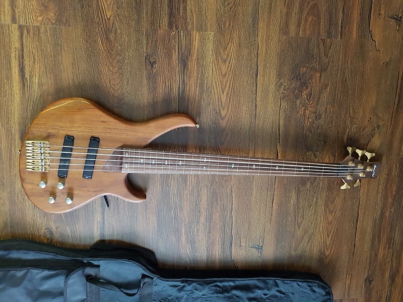 Antique Noel ATB-560 FL Dark Natural 5-strings fretless bass :: 24 