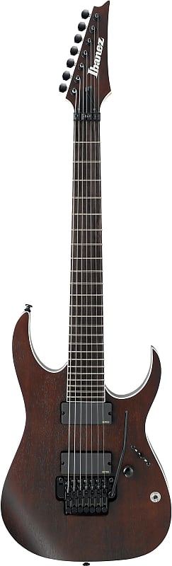 Ibanez Iron Label RGIR27BE 値下げ可 Ibanez RGIR27BE Iron Label - Walnut Flat, 7-String | Sweetwater