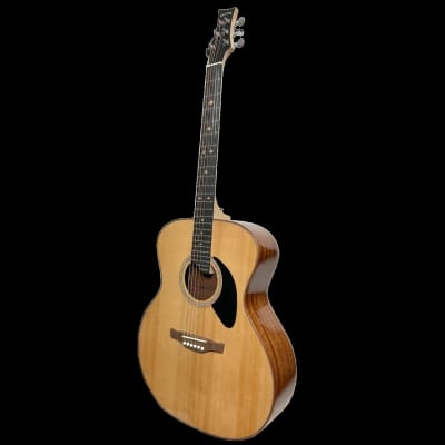 Riversong Folker (P555-A) Acoustic Guitar image 3