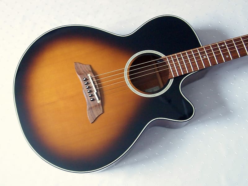 最低価格の アコースティックギター TAKAMINE PT-107 ギター 