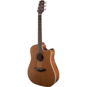Takamine GD20CE Acoustic Guitar (GD20CE) image 2