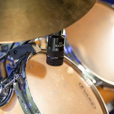 Audix D2 Hypercardioid Dynamic Drum / Instrument Microphone image 3