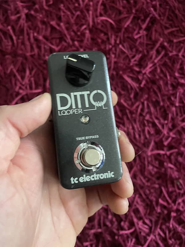 TC Electronic Ditto Looper