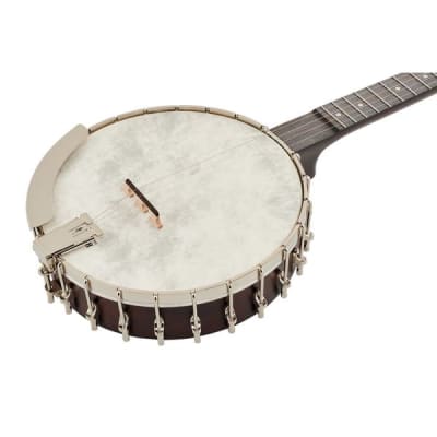 Recording King OT25-BR "Madison" Open Back Banjo, Scooped Fretboard. New with Full Warranty! image 7