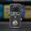 TC Electronic Ditto Looper 2013 - Present - Black