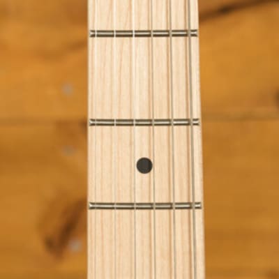 Squier Affinity Series Telecaster Left-Handed Maple Butterscotch Blonde image 6