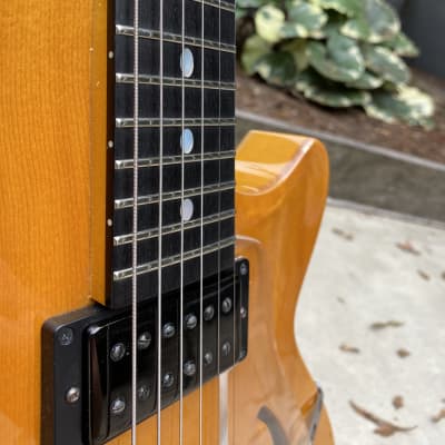 Westville Solar TD Thinline Archtop Jazz Guitar image 16
