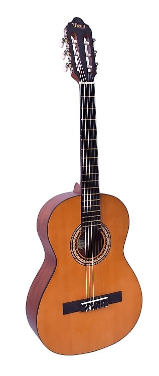 Valencia VC203H Series 200 Sitka Spruce Top 3/4 Jabon Neck 6-String Hybrid Classical Acoustic Guitar image 1