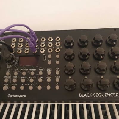Black Sequencer & Amoeba セット値引 Erica Synths Black Sequencer 4-Channel & 64-Step Sequencer