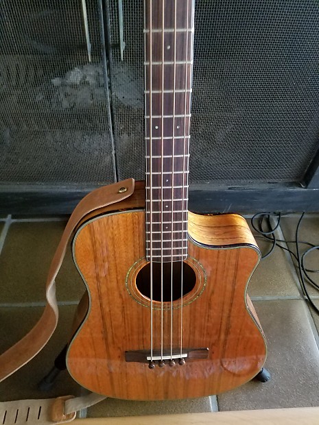 Fender victor store bailey acoustic bass