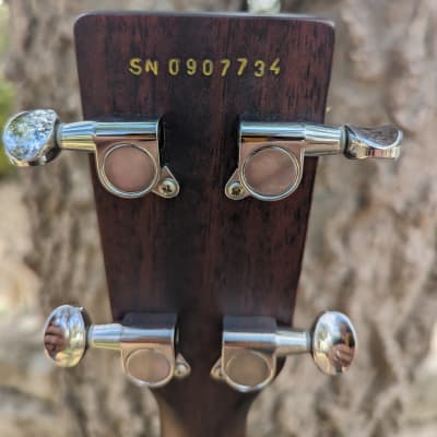 Aria AF-10 Tenor Guitar Early 2000s - Sunburst image 15