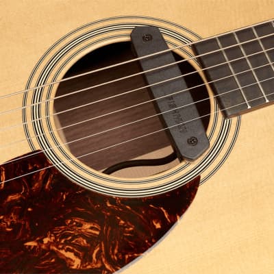 PRO-NEO-D01 Neo-D SingleCoil Fishman image 4