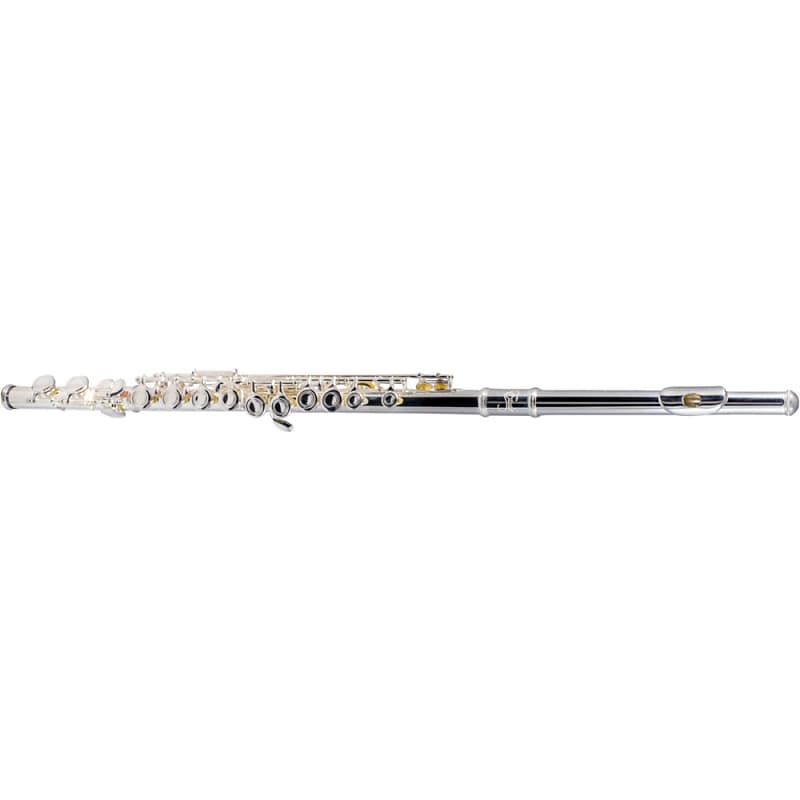 Etude EFL-200 Student Series Flute with Offset G, C-Foot image 1