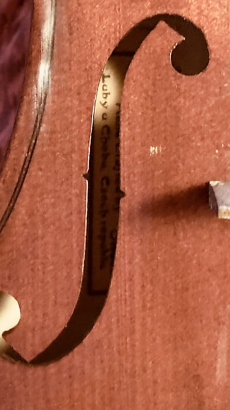 Josef Jan Dvorak Extreme Violin No.220 4/4 Full Size Case