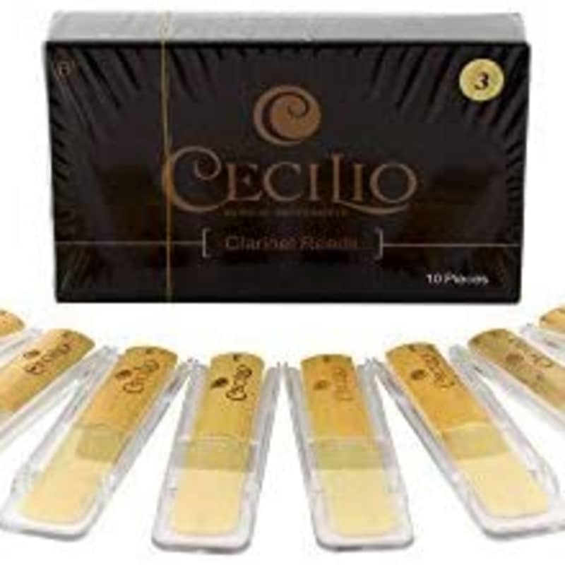 Cecilio Trumpet Cleaning Maintenance Care Kit | Reverb