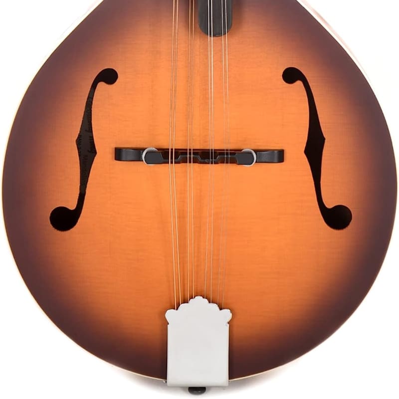 MANDOLINO AUTOMATICO 28,4x10,2x19,4h