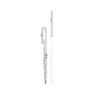 Stagg WS-FL221S Student Closed-Hole C Flute with Curved/Straight Headjoints, Case
