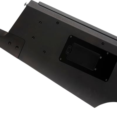 Korg RK-100S 2 37-Note Keytar, Black w/ Soft Case image 2