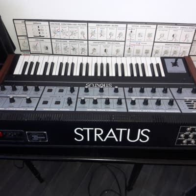 mint CRUMAR  STRATUS vintage polyphonic analog synthesizer + rare accessories image 4