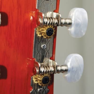 Indiana COLT Standard Size 36-Inch Spruce Top 6-String Acoustic Guitar w/Gig Bag image 10