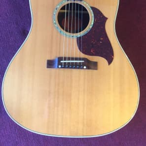 Gibson Songbird Deluxe 1999 Spruce/Indian Rosewood image 2