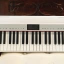 Roland GO-61P-A GO:PIANO with Alexa Built-in 61-Key Digital Piano