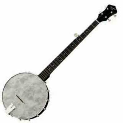 Recording King RKOH-05 Open Back 5-String Banjo. New, with Full Warranty! for sale