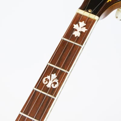 1969 Fender Concert Tone Plectrum 4-String Banjo Walnut & Gold Vintage Original Amazing Long Scale Tenor Banjo w/ Vintage Case image 17