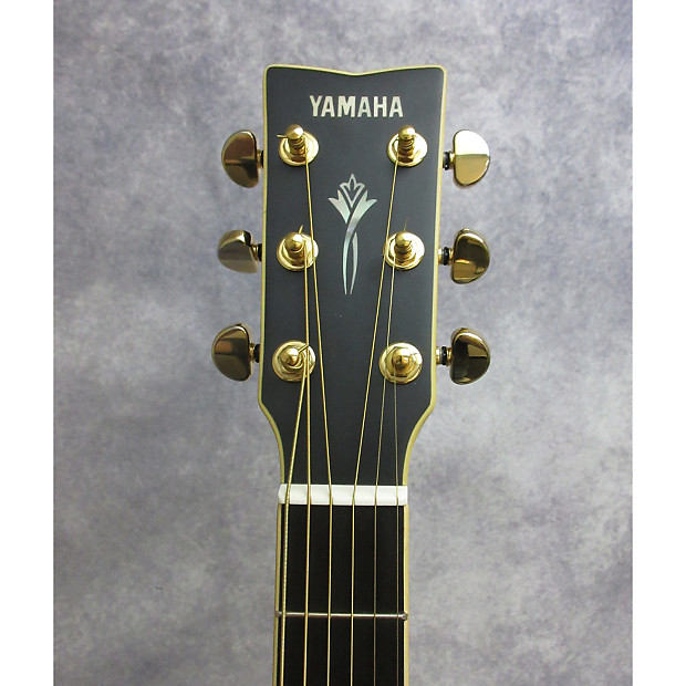 Yamaha DW-8 Dreadnought Acoustic Guitar Black | Reverb
