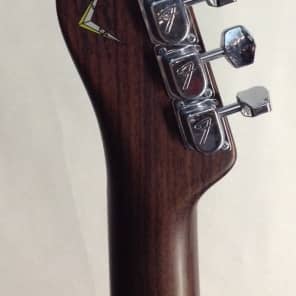 Fender Limited Edition Rosewood Telecaster image 9
