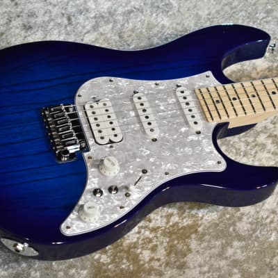 Fujigen/FGN EOS-ASH-M-SBB See-Thru Blue Burst 3.22kg #D230089［B 