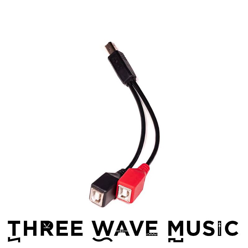 1010music USB B Splitter Cable for Bluebox [Three Wave Music] Reverb