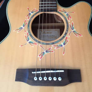 Takamine RARE DRAGONFLY EG540SC acoustic electric guitar
