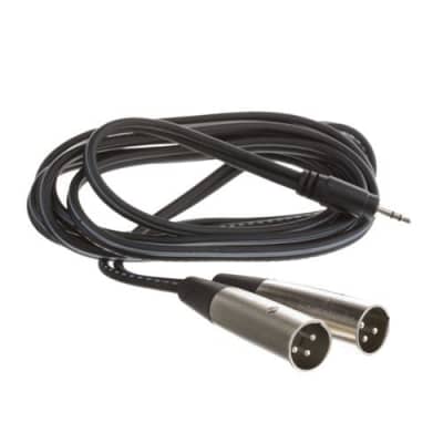 Hosa Technology 6.6' (2M) Stereo 3.5mm Mini Phono Male to Two Male XLR, Long Y-Cable image 1