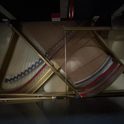 Venables & Son Studio-120 Upright Piano (pre-owned c.2021) image 2